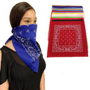 Cotton Bandanas Double Sided Paisley Print Cloth Scarf Face Mask Covering Washable-Serve The Flag 1 image