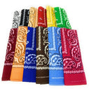 Casaba Paisley Printed Bandana 100% Cotton Neck Head Band Wrap Scarf Biker-Serve The Flag 2 image