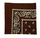 Casaba Paisley Printed Bandana 100% Cotton Neck Head Band Wrap Scarf Biker-Serve The Flag 4 image