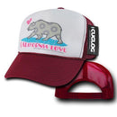 Cuglog 5 Panel California Love Foam Trucker Baseball Hat Cap California Bear-Serve The Flag 5 image